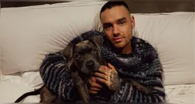 Investigação apura causas da morte de Liam Payne, ex-integrante do One Direction