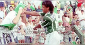 Tonhão foi bicampeão paulista e brasileiro pelo Palmeiras na década de 1990.