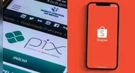 Shopee funciona como instituição de pagamentos no Brasil desde 2022