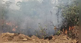 O homem é funcionário da fazenda onde foi praticado o ato ilícito, em Novo Progresso