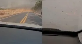 Saiba o que fazer ao se deparar com incêndios em rodovias