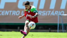 Jogador tem se destacado nos treinamentos, mas uma série de contratempos têm impedido sua integração ao elenco principal do Palmeiras.