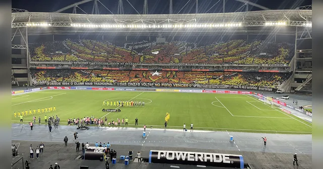 Imagem ilustrativa da notícia Botafogo é denunciado por cantos racistas na Libertadores