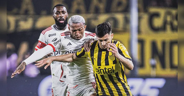 Imagem ilustrativa da notícia Peñarol segura empate e elimina Flamengo da Libertadores