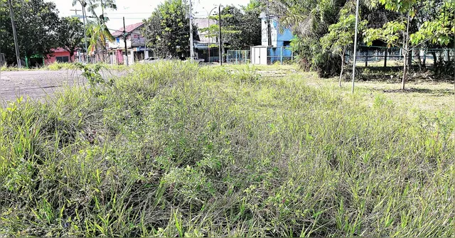 Imagem ilustrativa da notícia Condições precárias de praça de Belém afastam visitantes