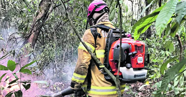 Imagem ilustrativa da notícia Pará: Bombeiros terão R$ 45 milhões para combater incêndios