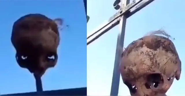 Imagem ilustrativa da notícia Vídeo mostra crânio exposto em muro de cemitério de Belém