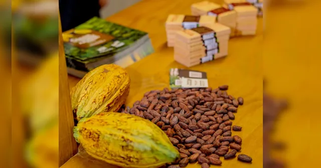 Imagem ilustrativa da notícia Chocolat Festival traz estrelas internacionais a Belém