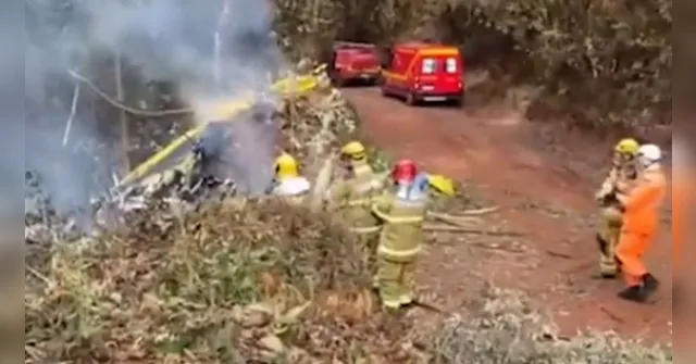 Imagem ilustrativa da notícia Piloto morre em queda de avião monomotor; veja o vídeo!
