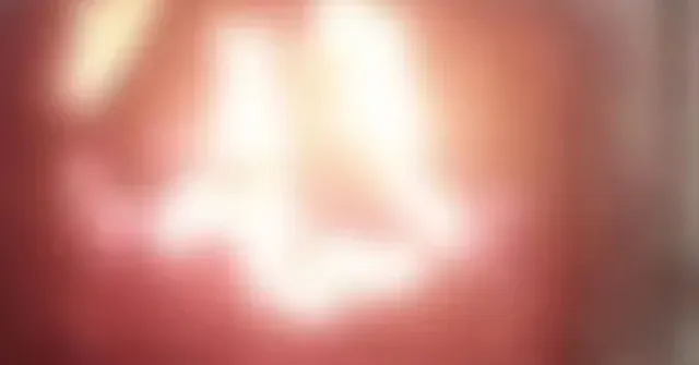 Imagem ilustrativa da notícia Adolescente joga 5 cães em fornalha e filma tortura