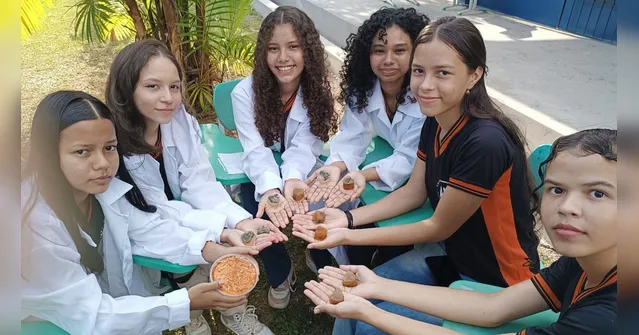 Imagem ilustrativa da notícia Pequenos empreendores "verdes" constroem futuro na escola