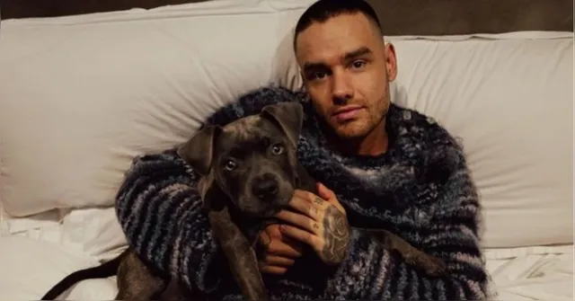 Imagem ilustrativa da notícia Corpo de Liam Payne pode ficar na Argentina por até 15 dias