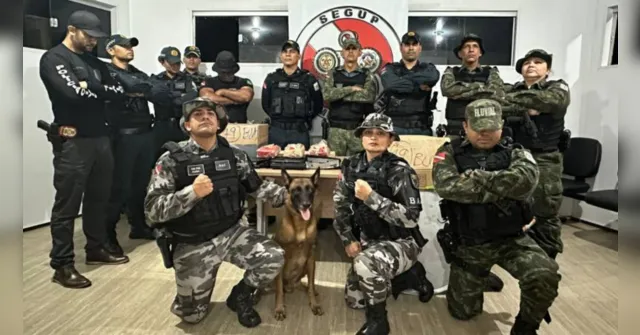 Imagem ilustrativa da notícia Crime tem prejuízo de R$ 859 mil com operação no Pará