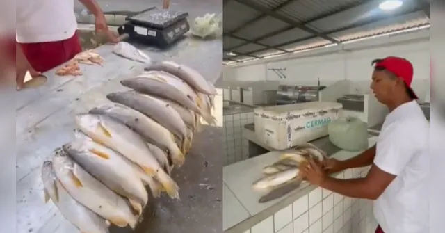 Imagem ilustrativa da notícia Feirantes reclamam de abandono na Feira do Icuí-Guajará