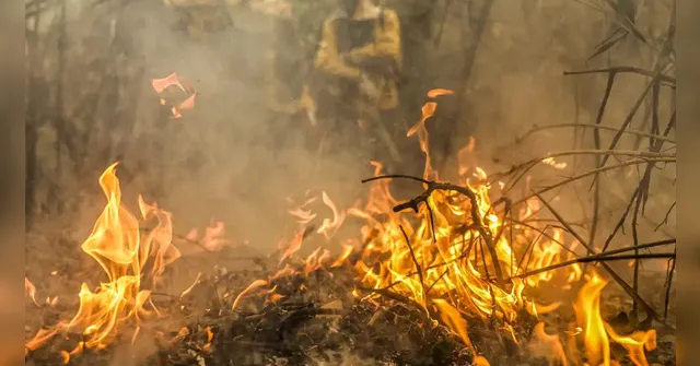 Imagem ilustrativa da notícia Fogo cresceu em velocidade superior a resposta dos governos
