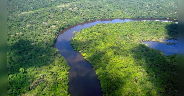 Imagem ilustrativa da notícia Pará reduz alertas de desmatamento em 42% em um ano