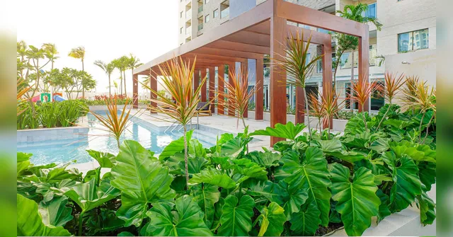 Imagem ilustrativa da notícia GAV Resorts impulsiona sustentabilidade no turismo