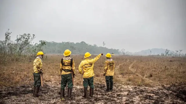 Imagem ilustrativa da notícia Dino define orçamento de emergência para combate a incêndios