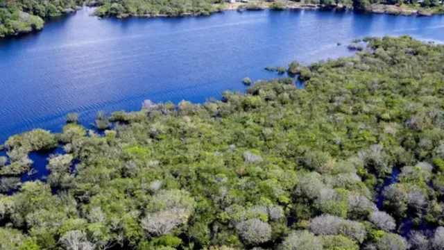 Imagem ilustrativa da notícia Falta pouco: Amazônia Azul entra no mapa de atlas escolar