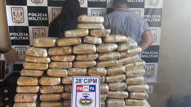 Imagem ilustrativa da notícia Polícia Militar apreende mais de 1 tonelada de drogas