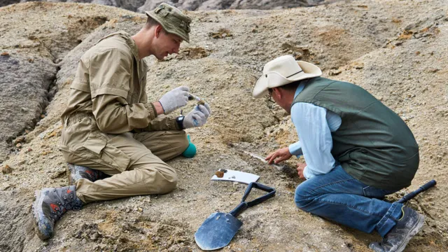 Imagem ilustrativa da notícia Cientistas acham fósseis de "hobbit" de 700 mil anos em ilha