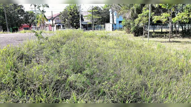 Imagem ilustrativa da notícia Condições precárias de praça de Belém afastam visitantes