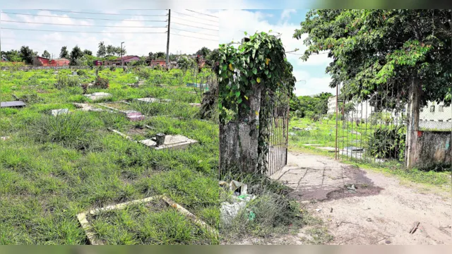 Imagem ilustrativa da notícia Ananindeua: cemitério Parque Girassol está abandonado