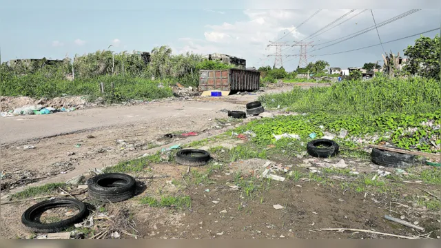 Imagem ilustrativa da notícia Pará registra 20 mil casos prováveis de dengue este ano