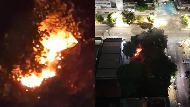 Imagem ilustrativa da notícia Vídeo: incêndio atinge terreno no bairro do Marco