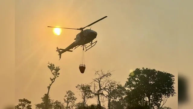 Imagem ilustrativa da notícia Graesp integra esforço de combate a incêndios no Pará