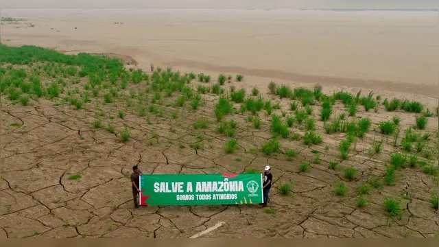 Imagem ilustrativa da notícia MAB tem atos cobrando proteção contra queimadas na Amazônia