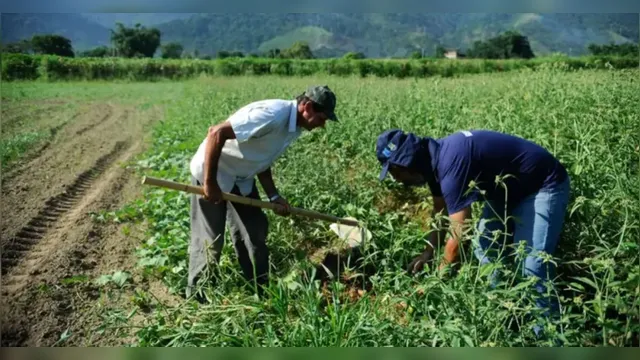 Imagem ilustrativa da notícia Carga tributária é nó para agricultura familiar sobreviver