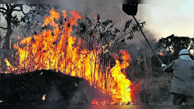 Imagem ilustrativa da notícia Jader propõe classificar crimes de incêndio como hediondos