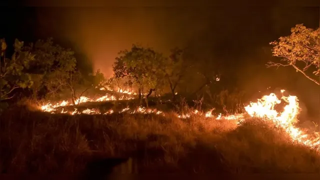 Imagem ilustrativa da notícia Gases estufa aumentam por conta das queimadas na Amazônia