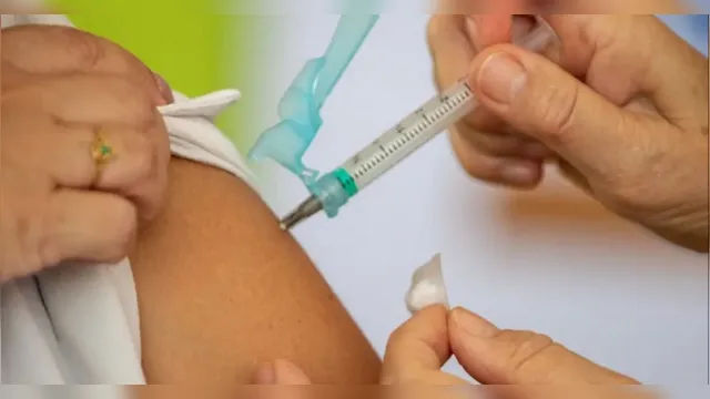 Imagem ilustrativa da notícia Vacinação contra influenza começa na próxima segunda (02)