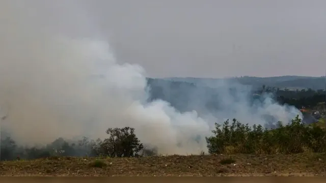 Imagem ilustrativa da notícia Min. da Saúde anuncia tendas para hidratação e nebulização