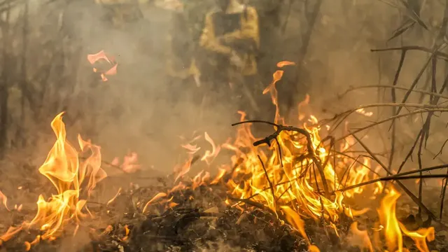 Imagem ilustrativa da notícia Fogo cresceu em velocidade superior a resposta dos governos