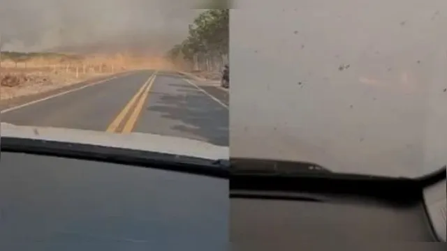 Imagem ilustrativa da notícia Fumaça de incêndios em rodovias requer atenção de motoristas