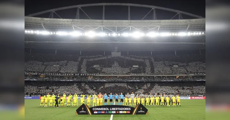Imagem ilustrativa da notícia Botafogo vence Palmeiras e abre vantagem nas oitavas