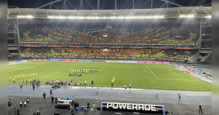 Imagem ilustrativa da notícia Botafogo é denunciado por cantos racistas na Libertadores