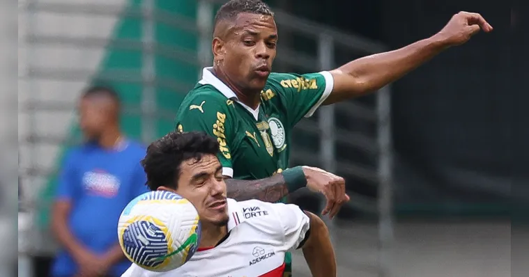 Imagem ilustrativa da notícia São Paulo denuncia torcida do Palmeiras por homofobia