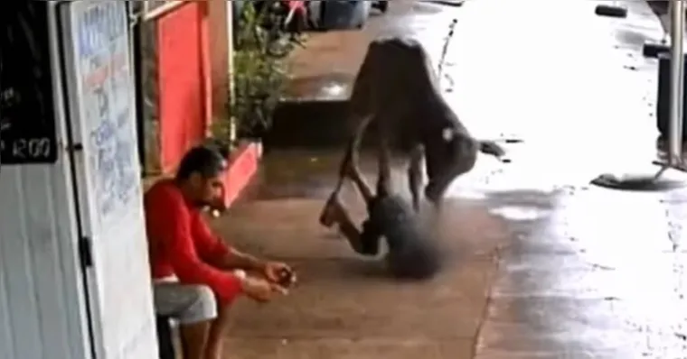 Imagem ilustrativa da notícia Vídeo: bezerro foge de leilão e dá cabeçada em criança