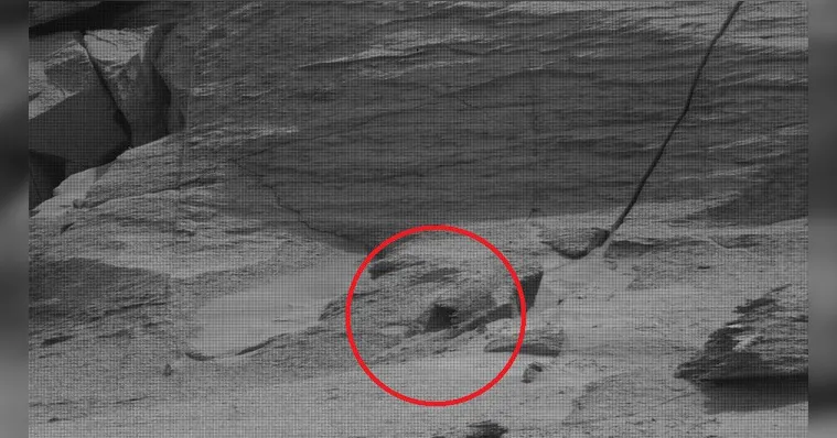 Imagem ilustrativa da notícia Imagem mostra que "estrutura de cachorro" foi encontrada em Marte