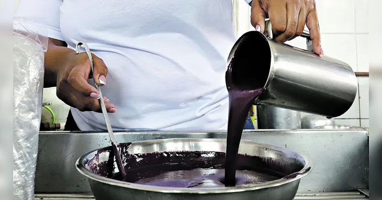 Imagem ilustrativa da notícia Açaí teve queda de até 9% no mês de agosto no Pará