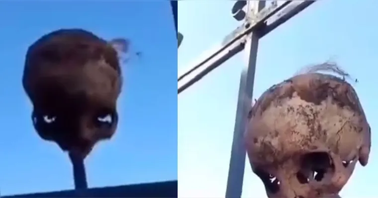 Imagem ilustrativa da notícia Vídeo mostra crânio exposto em muro de cemitério de Belém