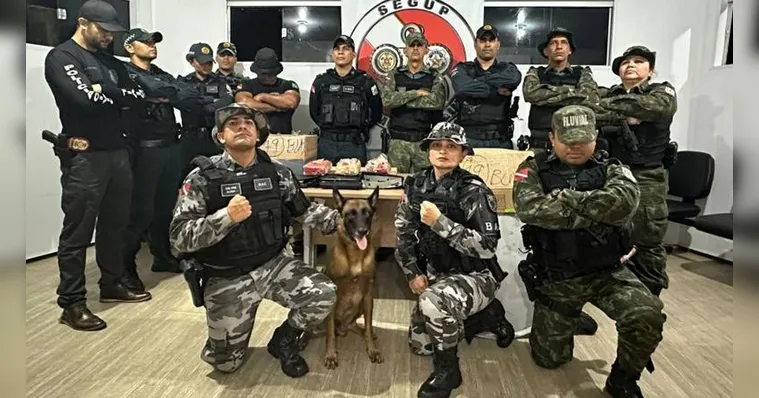 Imagem ilustrativa da notícia Operação resulta em prisão e apreensões em rios do Pará
