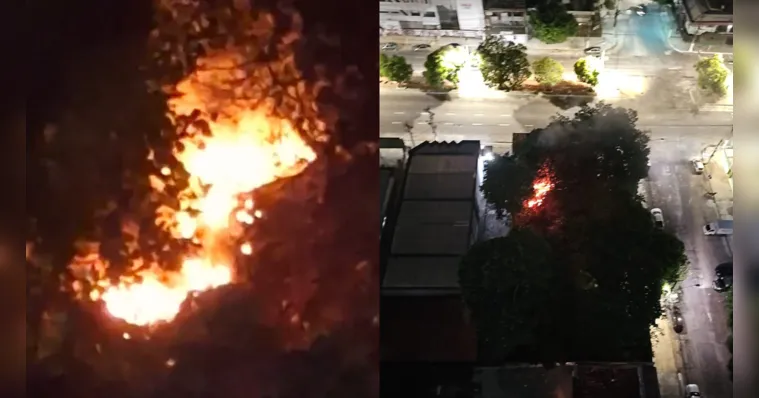 Imagem ilustrativa da notícia Vídeo: incêndio atinge terreno no bairro do Marco