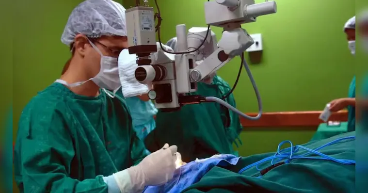 Imagem ilustrativa da notícia Pacientes testam positivo para HIV após transplante no RJ