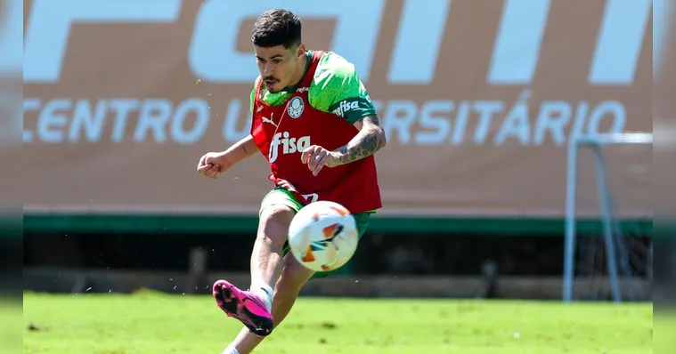 Imagem ilustrativa da notícia Reforço do Palmeiras encanta nos treinos, mas não joga