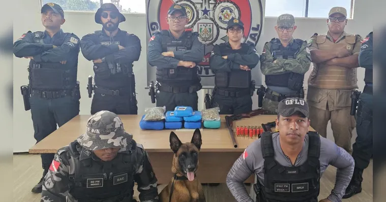 Imagem ilustrativa da notícia Marajó: drogas, armas e tartarugas são apreendidas em balsa